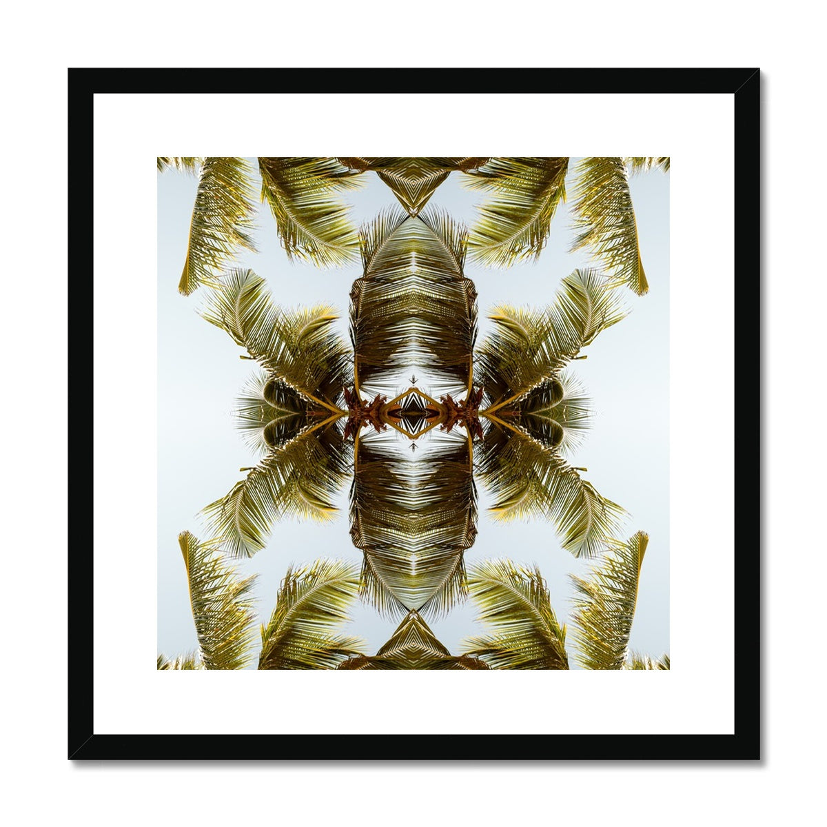 Tropical Flower | Framed & Mounted Print