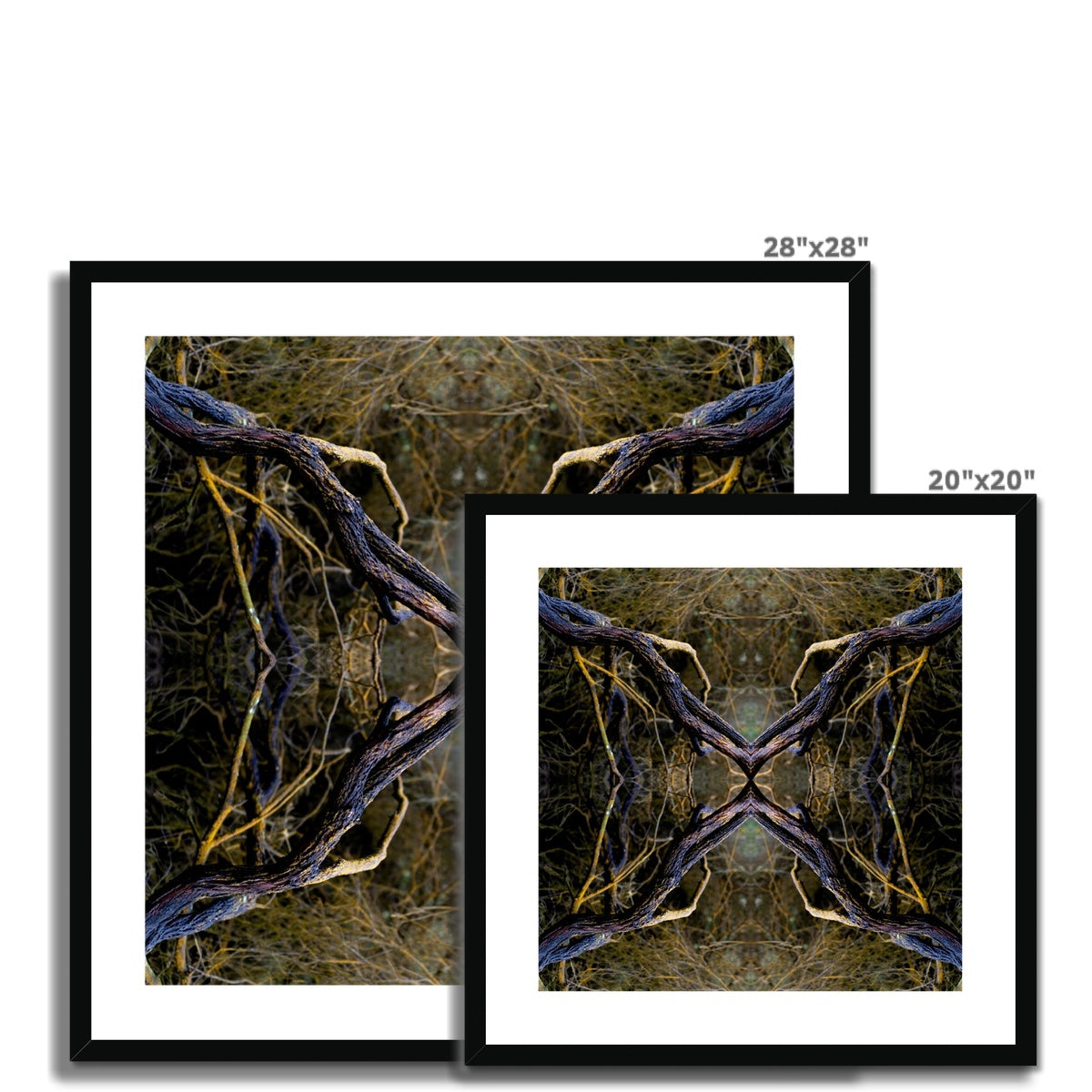 Spider | Framed & Mounted Print