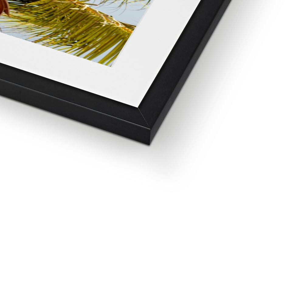 Tropical Flower | Framed & Mounted Print