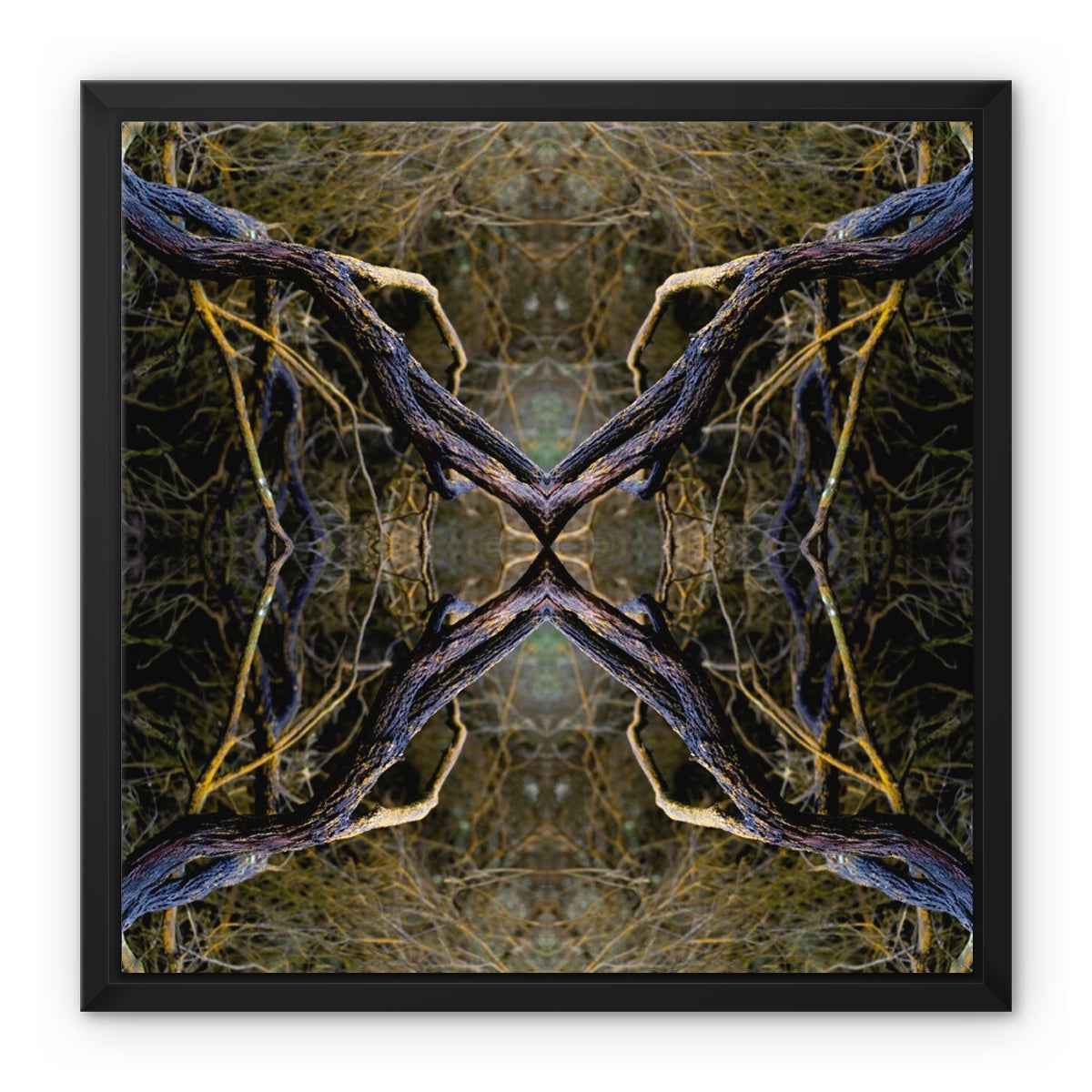 Spider | Framed Canvas