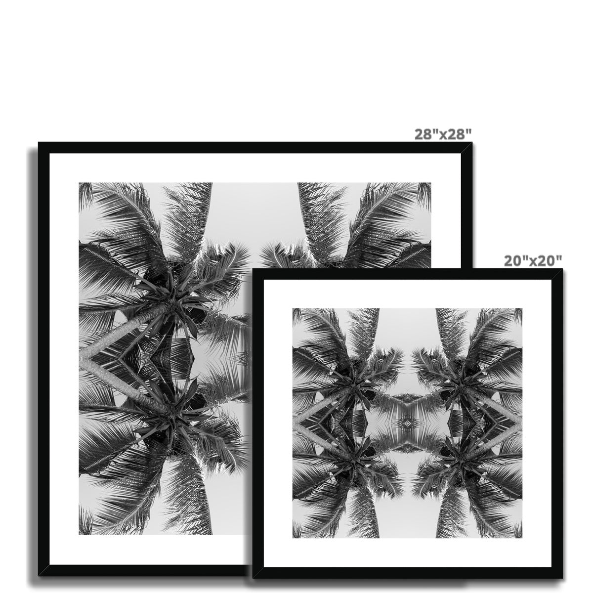 Tropical X (mono) | Framed & Mounted Print