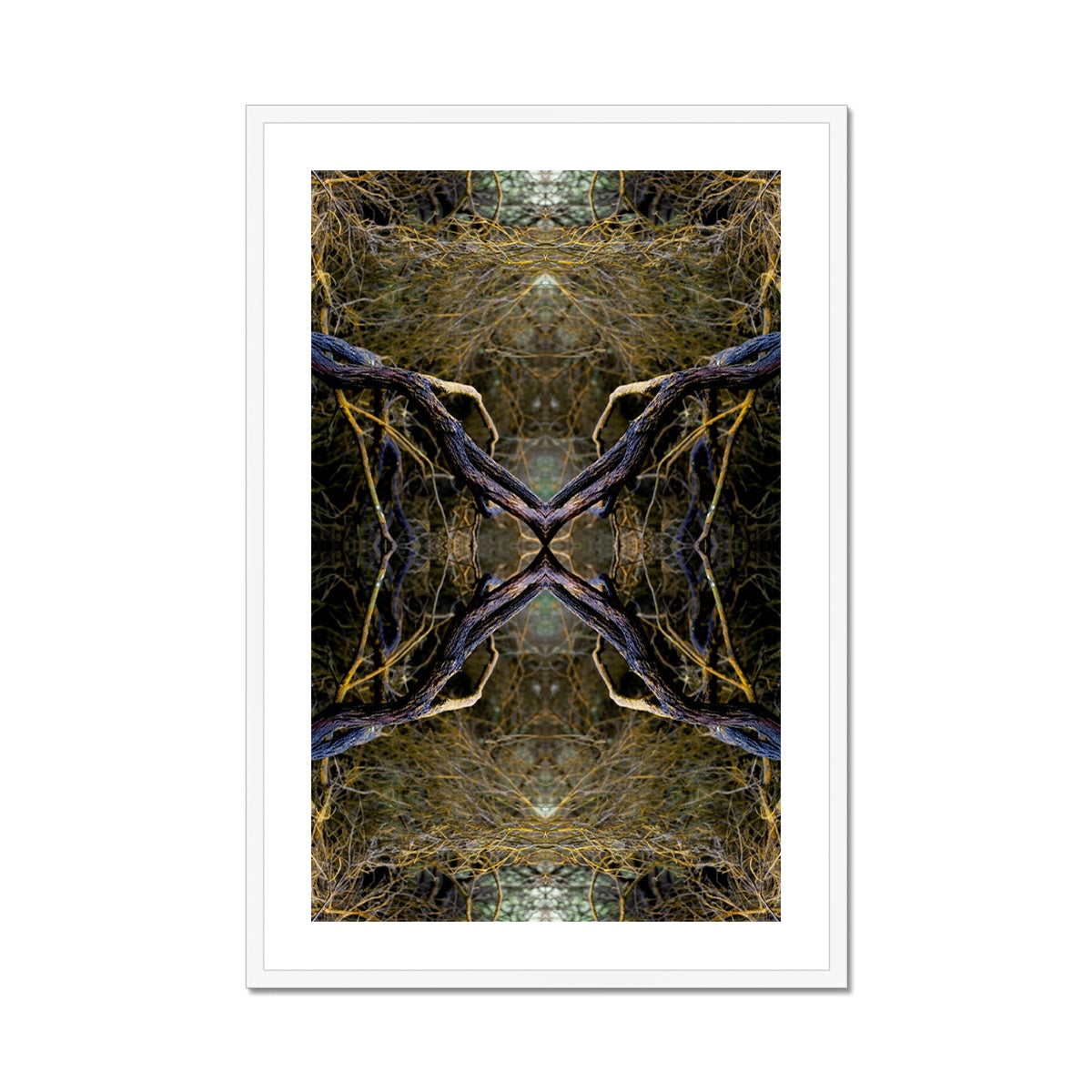 Spider | Framed & Mounted Print