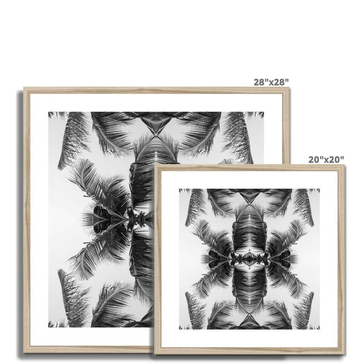 MadyMadlin-tropical flower mono-natural framed and mounted print-square all sizes